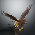 Detailed Mythical Griffin Sculpture With Spread Wings Lion Body And Yellow Claws