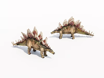 Two Realistic Stegosaurus Dinosaur Models With Spiked Backs On White Background 3d model