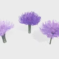 Cartoon Scene With Three Vibrant Purple Fluffy Flowers And Green Stems
