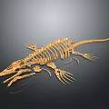 Golden Prehistoric Reptile Skeleton with Detailed Anatomical Structure