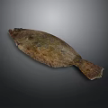 Whole Fresh Flounder Fish With Grayish Brown Body Texture Isolated On Dark Background
