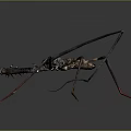Realistic Scorpion With Long Legs And Patterned Carapace Body Structure 3d model