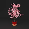 Pink Flowering Potted Plant With Red Decorative Pot And Lush Blooms