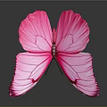 Stunning Pink Butterfly with Spread Wings and Detailed Wing Patterns on Dark Background