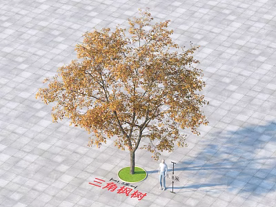 Trident Maple Arbor With Yellow Leaves On Gray Tiled Ground And Green Circular Base 3d model