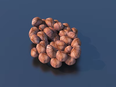 Pile of Brown Shelled Hazelnuts as Healthy Nutritious Snack Option 3d model