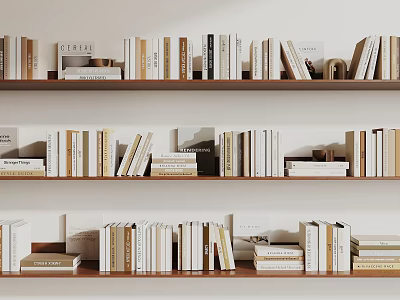 Neatly Arranged Books And Magazines On Wooden Bookshelves Against White Walls 3d model