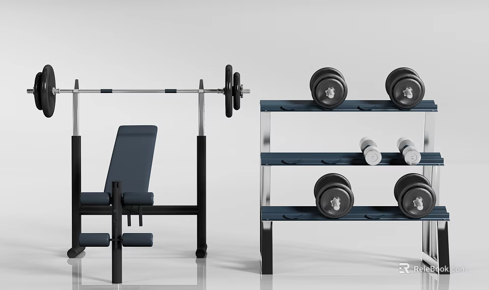 Gym Sports Equipment Including Weight Bench Barbell And Dumbbells On Storage Rack 3d model 