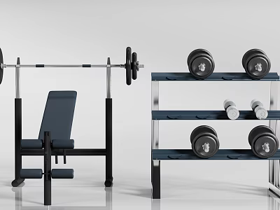 Gym Sports Equipment Including Weight Bench Barbell And Dumbbells On Storage Rack 3d model