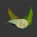Fresh Ripe Green Pears Whole And Sliced On Dark Reflective Surface