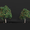Ripe Orange Fruits Growing On Tree With Green Leaves In Garden