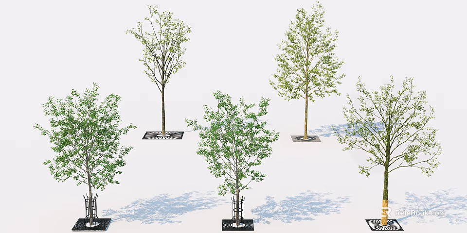 Various Arbor Types With Green Leaves Trunk And Ground Shadow 3d model