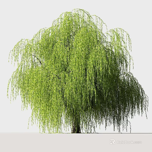 Elegant Garden Ornament With Weeping Willow Green Foliage And Hanging Branches 3d model 