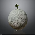 Fresh Whole Cantaloupe Melon With Netted Surface And Green Stem On Dark Background