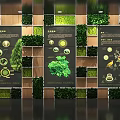 Indoor Display Area Featuring Green Plant Walls And Plant Illustration Information Boards