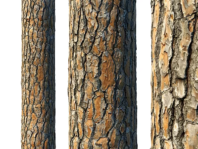 Natural Tree Trunk Components With Textured Bark And Brown Beige Tones 3d model
