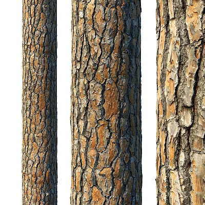 Natural Tree Trunk Components With Textured Bark And Brown Beige Tones 3d model