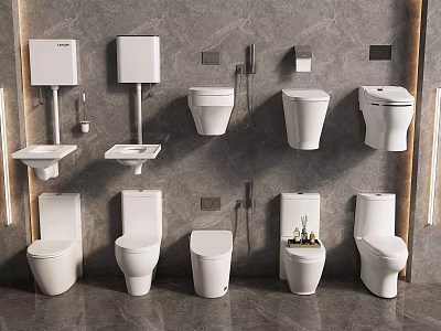 Various Modern Toilets Display in Bathroom with Sinks and Flush Systems 3d model
