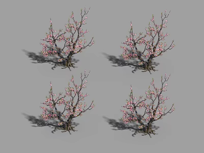 Blooming Arbor With Pink Flowers And Twiggy Branches In Four Views 3d model