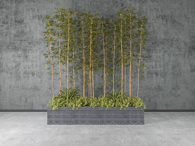 Green Bamboo Bonsai Potted Plants In Rectangular Planter With Gray Background And Lush Foliage 3d model