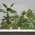 Courtyard Garden Design With Tropical Plants Large Leaves Cactus Globe Lights And Marble Platform