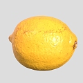 Lemon Cartoon Lemon Fruit 3d model