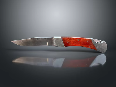 Premium Silver Blade Knife With Red Wooden Handle And Reflective Surface 3d model