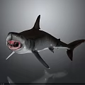 Realistic Shark With Open Mouth Gray Body Red Interior And Dark Fins On Gray Background