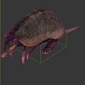 Realistic Armadillo With Scaly Armor Shell Detailed Body Structure And Standing Posture 3d model