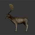 Deer With Large Antlers Gray And White Coat Standing On Dark Background With Reflection