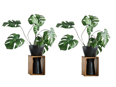 green plant potted tree model