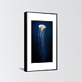 Modern animal painting porch jellyfish decorative painting 3d model