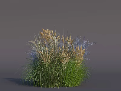 Naturally Growing Lush Herb Cluster With Green Grasses Brown Purple Flower Spikes 3d model