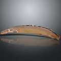 Slender Aquatic Animal Fish With Brown Scales And Long Fins On Black Surface
