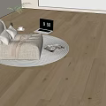 Modern Living Room Interior With Wooden Flooring Light Sofa Round Rug Laptop And Plant