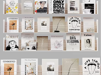 Books and Magazines Neatly Arranged on Shelves with Various Cover Designs 3d model