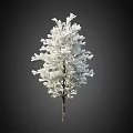 Stunning Snow Covered Arbor With Dense White Foliage Against Dark Background 3d model