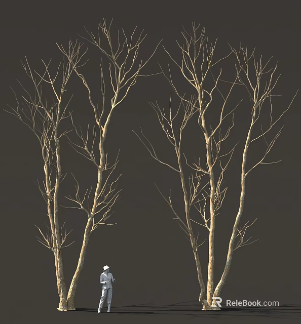 Tall Leafless Winter Trees With Withered Branches Against Black Background 3d model 
