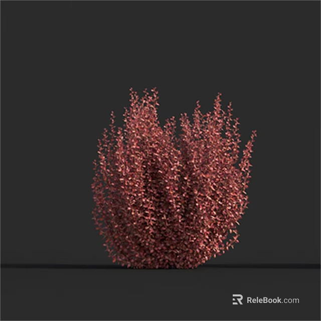 Vibrant Red Bushy Shrub With Lush Dense Foliage On Dark Background 3d model 