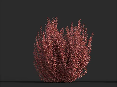 Vibrant Red Bushy Shrub With Lush Dense Foliage On Dark Background 3d model
