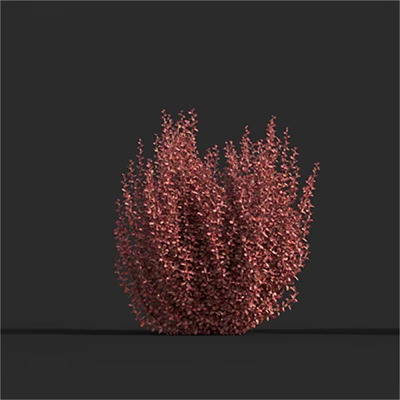 Modern shrubs 3d model