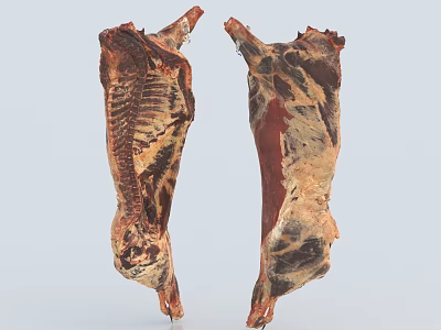 Fresh Bone In Raw Meat With Marbled Texture And Juicy Appearance 3d model