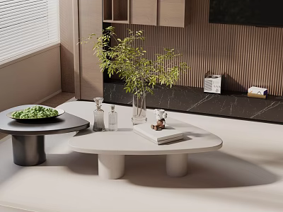 Modern Sofa And Coffee Table Combination With Decorative Plants And Books 3d model