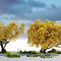 Beautiful Plant Combination Featuring Yellow Leaved Trees Small Plants Stones Green Grass And Blue Sky