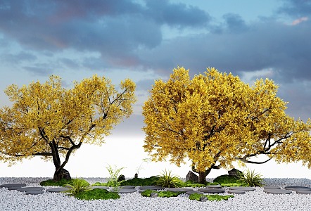 Modern Landscape Trees Yellow Leaf Ginkgo Tree Courtyard Garden Trees Street Trees 3d model