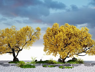Modern Landscape Trees Yellow Leaf Ginkgo Tree Courtyard Garden Trees Street Trees 3d model