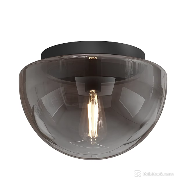 Modern Glass Shade Ceiling Light With Black Base Round Design and Vintage Bulb 3d model 