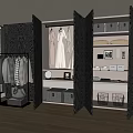 Modern Wardrobe Interior With Hanging Clothes Storage Boxes And Baskets