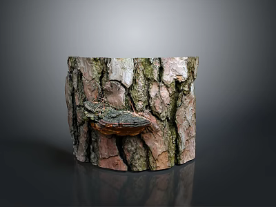 Natural Tree Stump With Realistic Bark Texture And Small Mushroom Growth 3d model