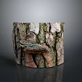 Natural Tree Stump With Realistic Bark Texture And Small Mushroom Growth 3d model
